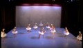 Miniature de la vidéo Swan Lake