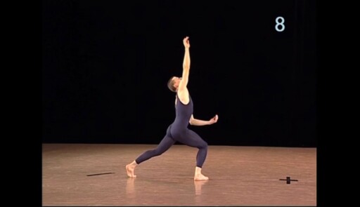 Miniature de la vidéo Epreuves de danse 2004. Danse contemporaine. Variation 8 garçon 2e option