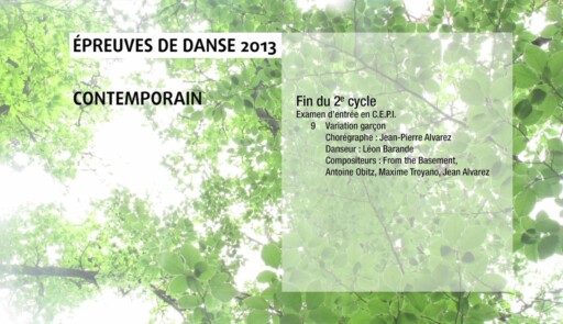 Miniature de la vidéo Epreuves de danse 2013. Danse contemporaine. Variation 9 garçon