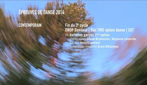 Miniature de la vidéo Epreuves de danse 2014. Danse contemporaine. Variation 11 garçon 1ère option