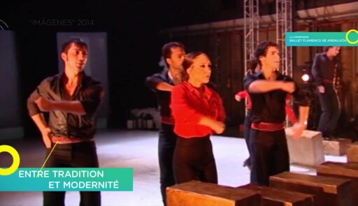 Miniature de la vidéo The spectator’s moment (2015): Ballet Flamenco de Andalucía