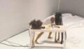 Miniature de la vidéo Yellow Towel
