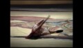 Miniature de la vidéo Sin arrimo