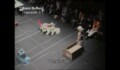 Miniature de la vidéo Dispositifs 3.1