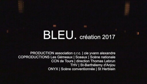 Miniature de la vidéo BLEU. création – 2017