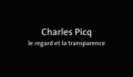 Miniature de la vidéo Charles Picq, le regard et la transparence