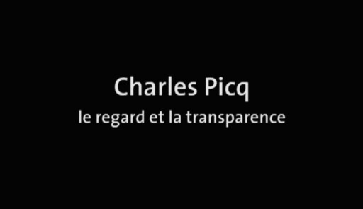 Miniature de la vidéo Charles Picq, le regard et la transparence