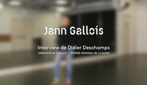 Miniature de la vidéo Les gestes de la danse : Jann Gallois