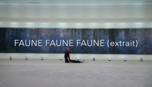 Miniature de la vidéo Faune, Faune, Faune