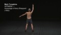 Miniature de la vidéo WITNESS – Hommage à Harry Sheppard (1992)