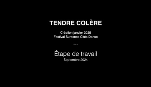 Miniature de la vidéo TENDRE COLÈRE – ÉTAPE DE TRAVAIL – SEPT 2024